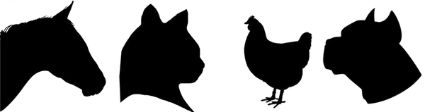 rsz_img_9145-removebg-preview (2).png