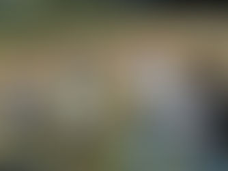 Ibarra, San Antonio.-recorrido por los terrenos donde se instarán las tuberías de agua potable