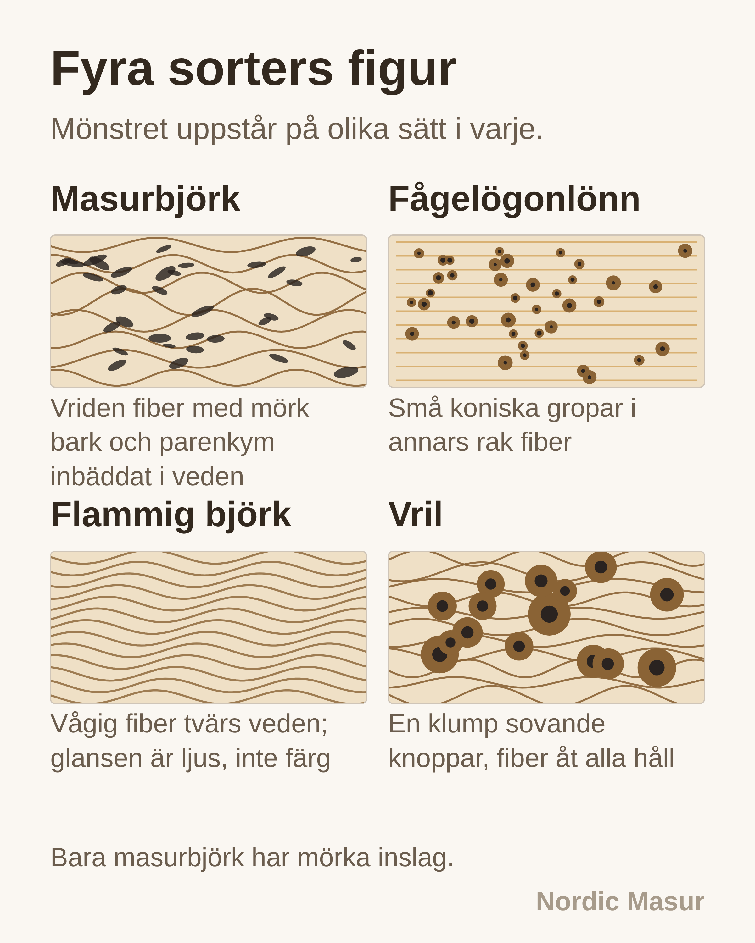 Fyra sorters figur: Masurbjörk, Fågelögonlönn, Flammig björk, Vril