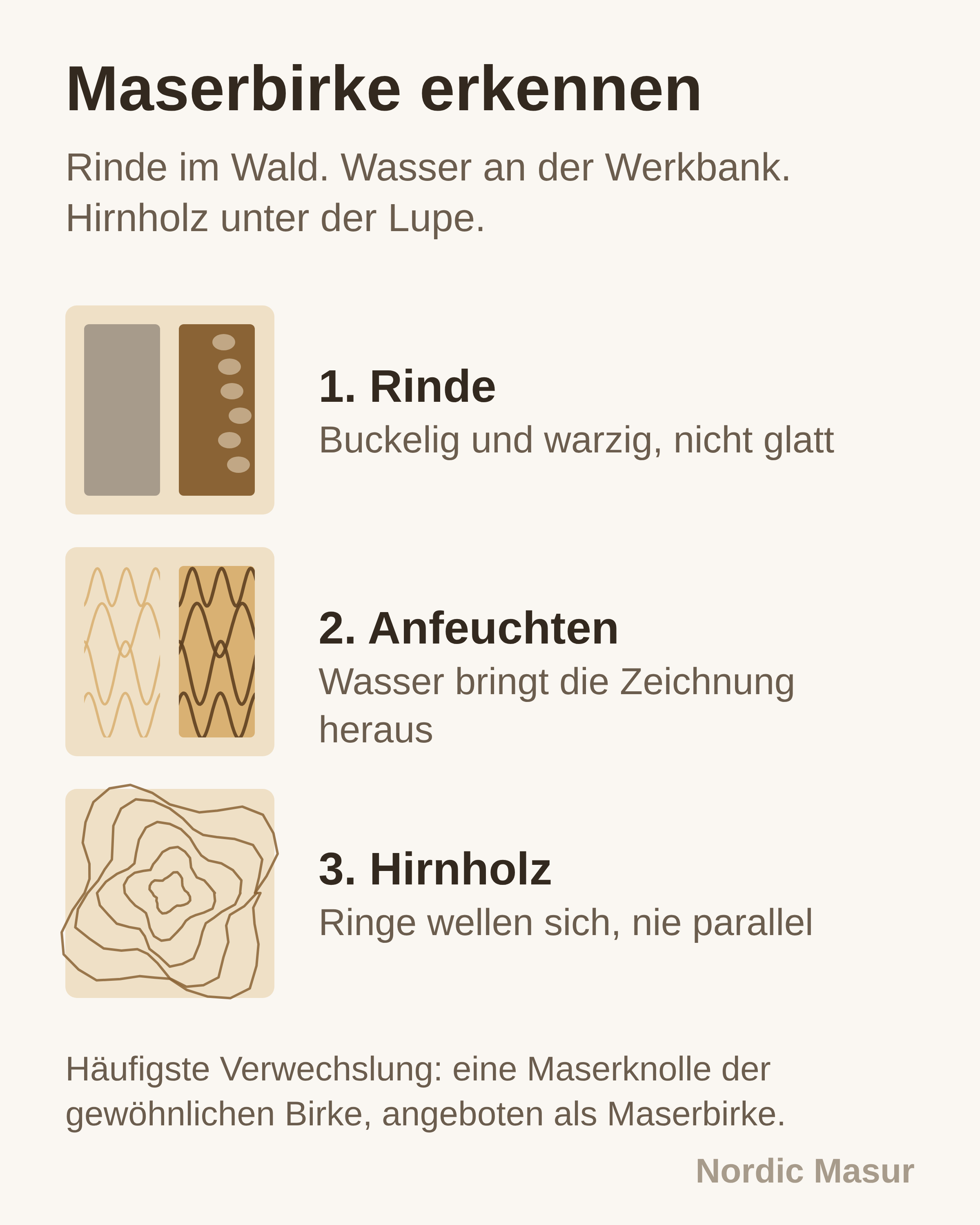 Drei Erkennungstests nebeneinander: Rindenstruktur, eine benetzte Fläche und die Jahrringe im Stirnholz
