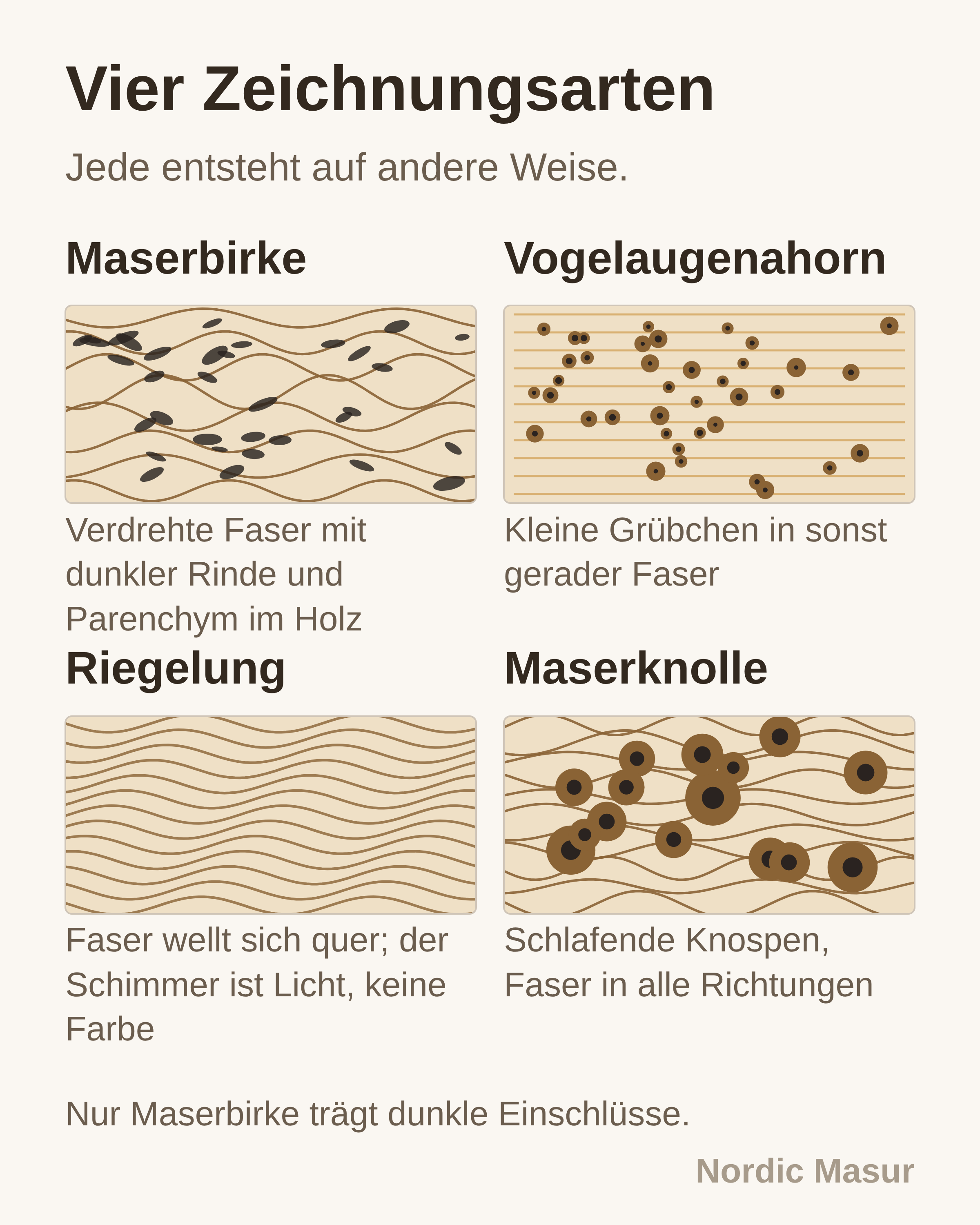 Vier Zeichnungsarten: Maserbirke, Vogelaugenahorn, Riegelung, Maserknolle