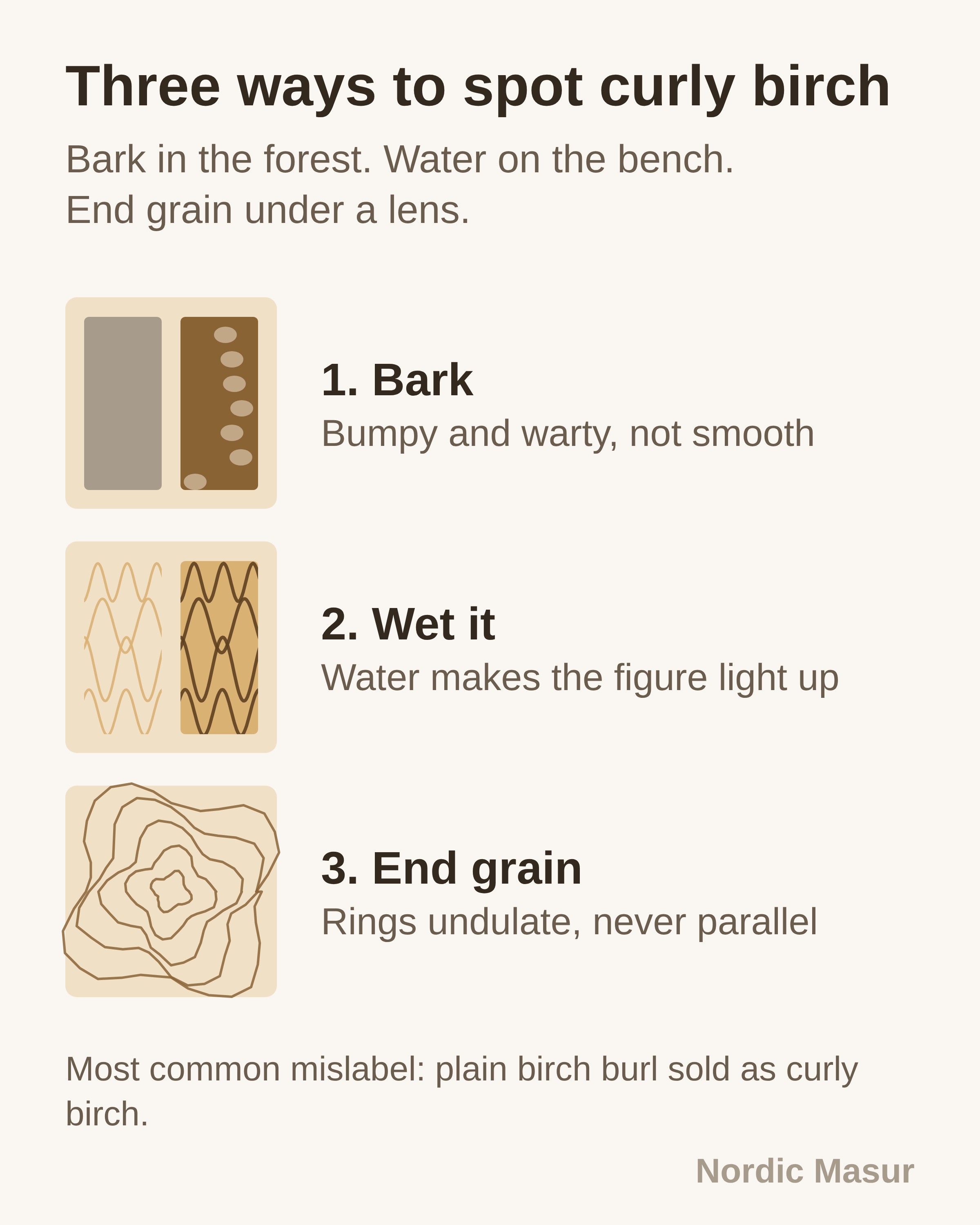 Three identification tests shown side by side: bark texture, a wetted surface, and end grain rings