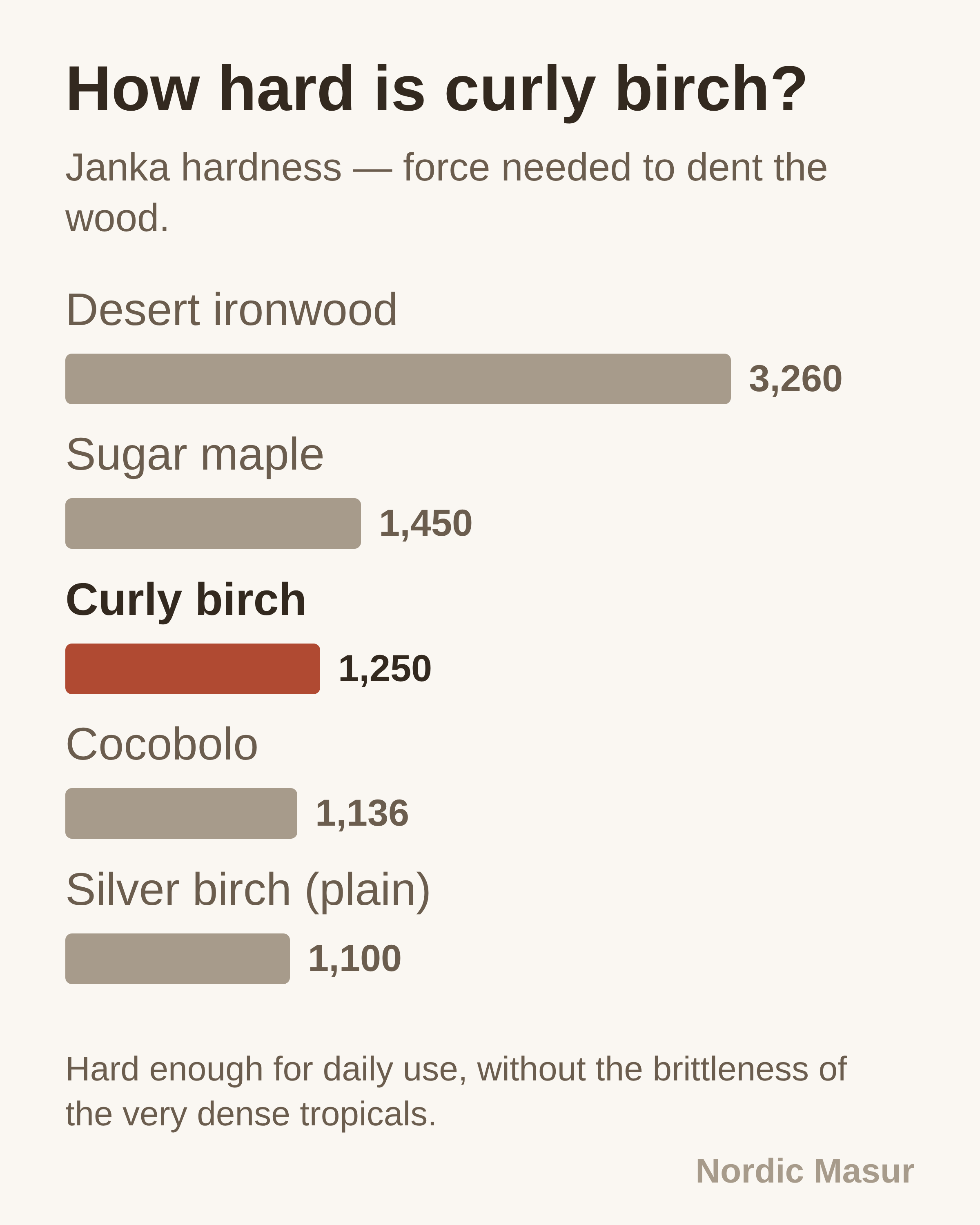 Bar chart of Janka hardness placing curly birch at 1,250 lbf between plain birch and sugar maple
