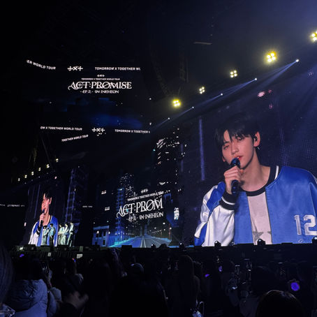 Blog 3: TXT Concert and First Perm 