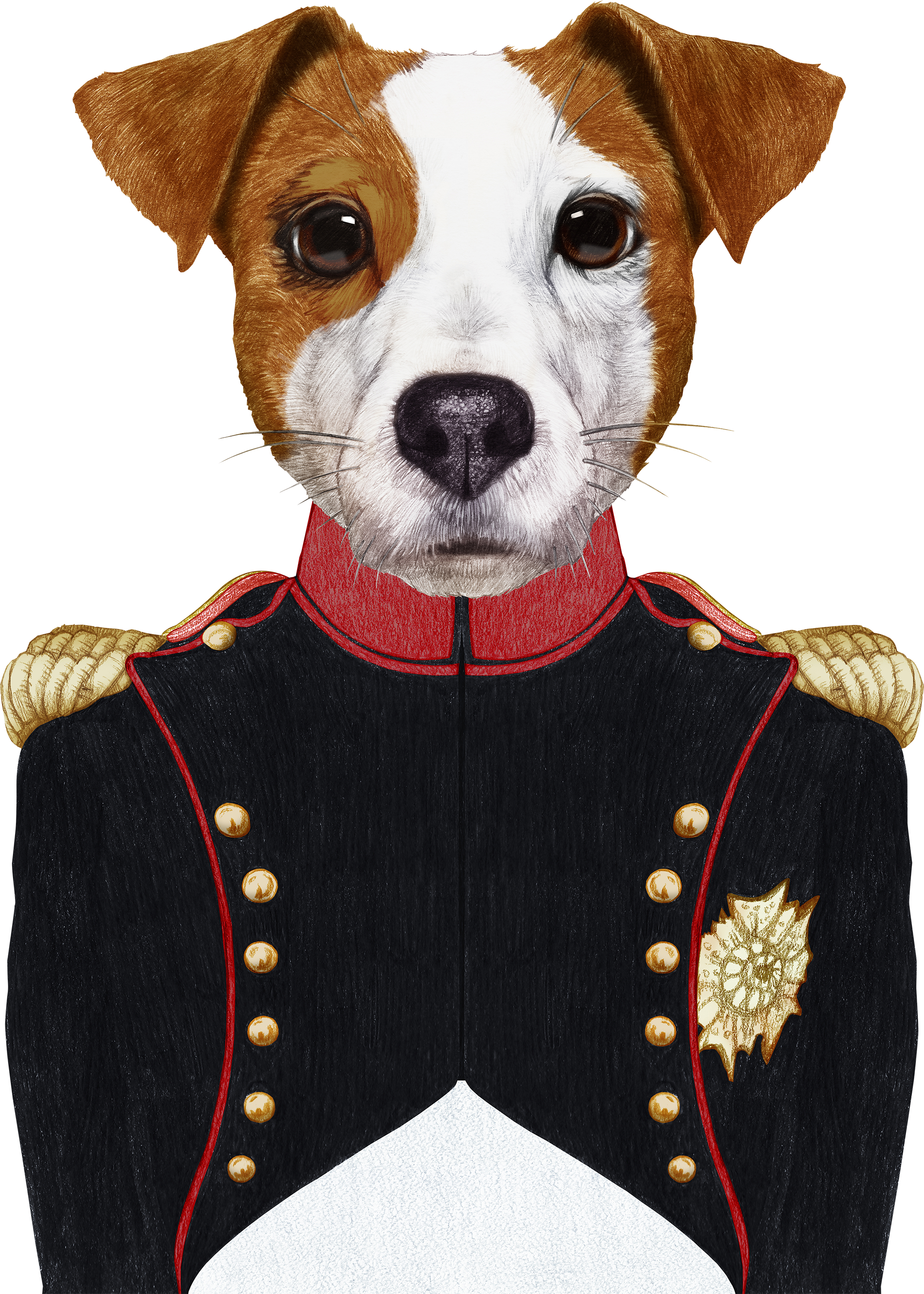 Dog in Military Uniform