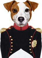 ナポレオン犬