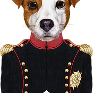 Writer: Schawa Consulting