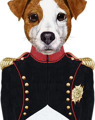 ナポレオン犬