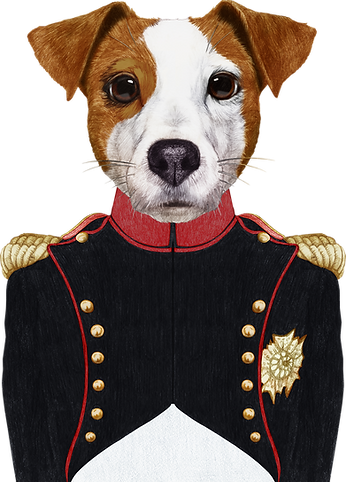 Napoléon Chien