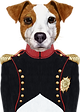 perro Napoleón