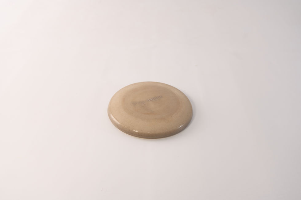 Thumbnail: Frisbee