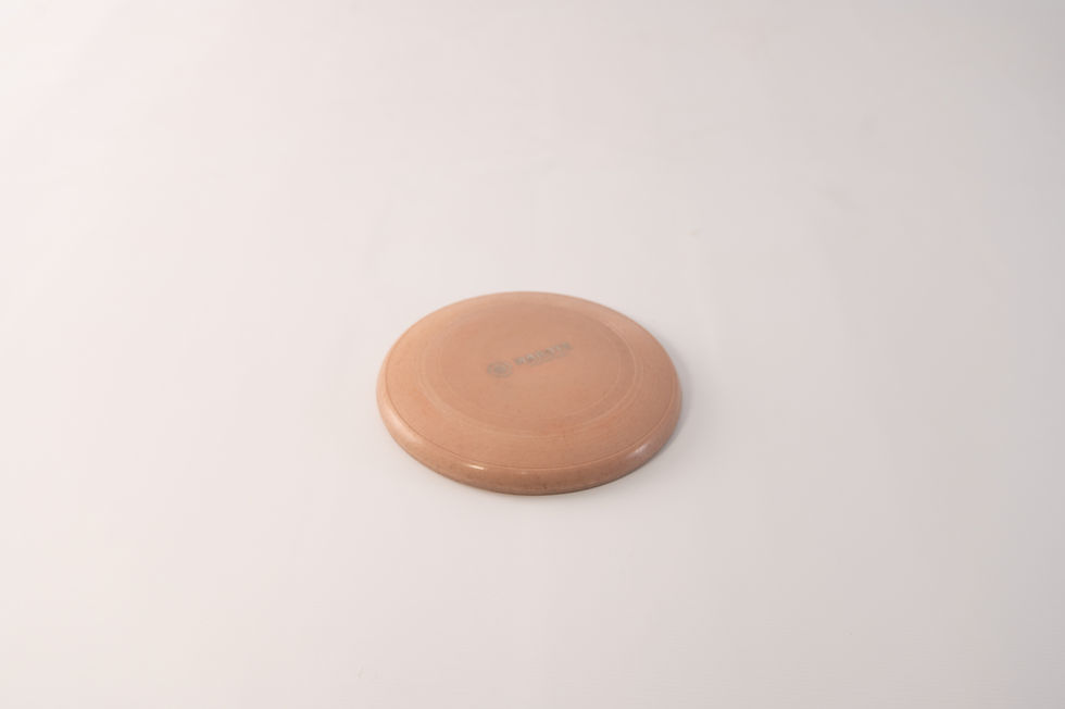 Thumbnail: Frisbee