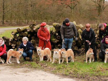 Daimi go Kinu Hana Ken