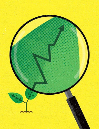 Green Economics: Can India Afford to Go Fully Renewable?