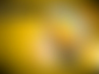 A Roosevelt Nanny Steals Credit Card Info From Two People She Worked For, And Spends Around $19,000