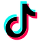 4362958_tiktok_logo_social media_icon