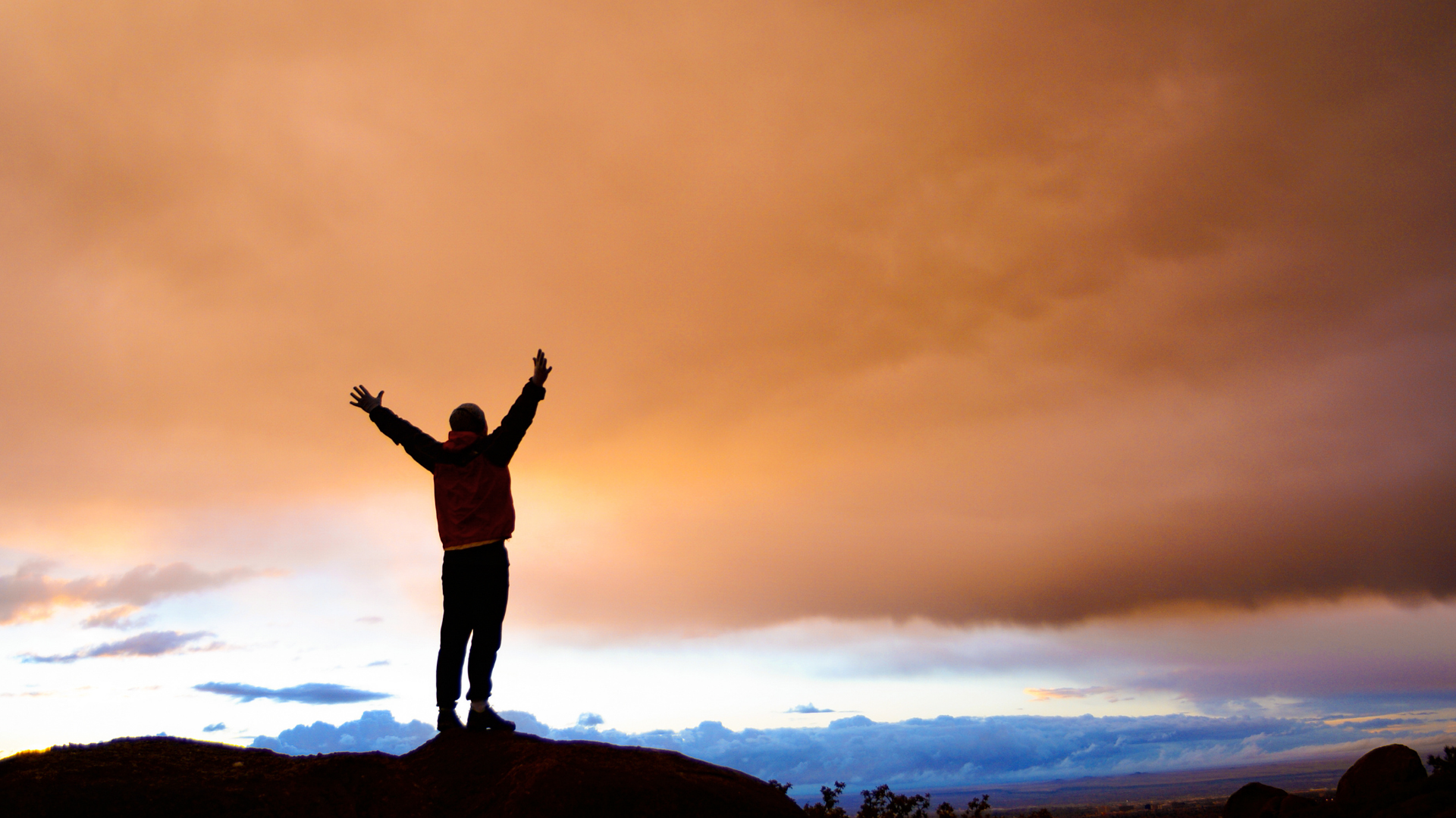 Love Carried Forward: Living Beyond the Loss