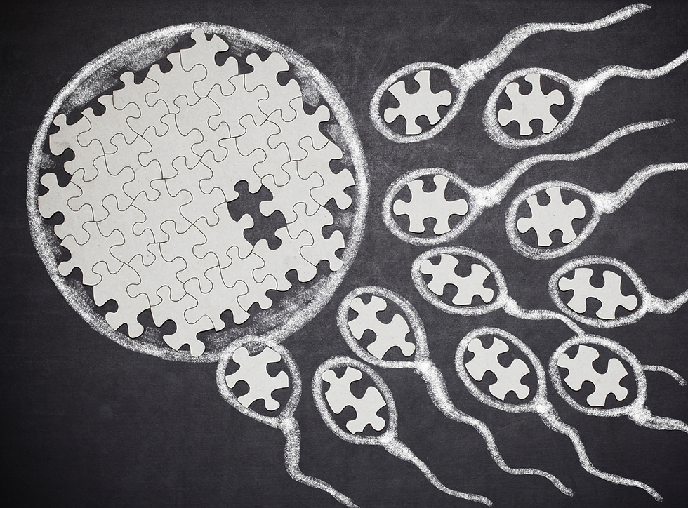 Fertility, Function & Whole-Body Coherence