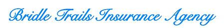 insurance agent