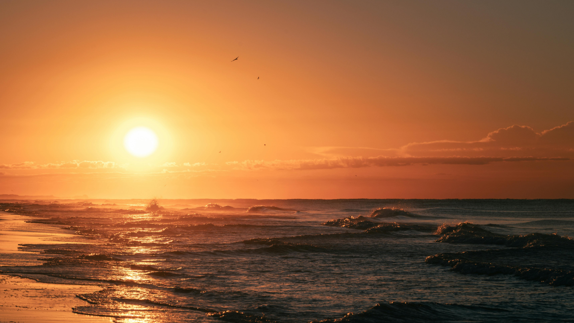 STILLNESS: Returning to Breath