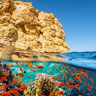 Daily Dive Package Deals, Best Daily dive price in sharm