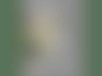 Finding Your True Colour to Shine