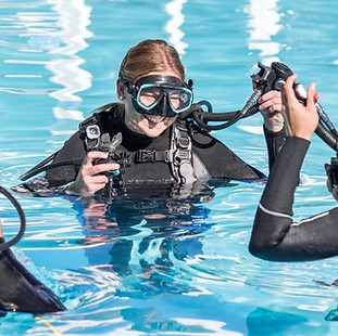 Learn to dive with the best in sharm