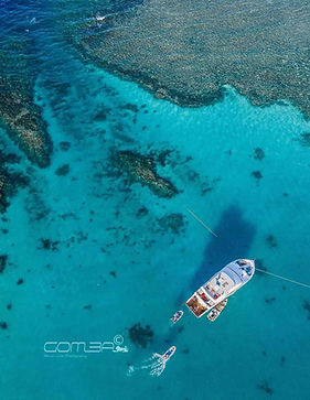 Red Sea Marine Diving Center (11).jpeg