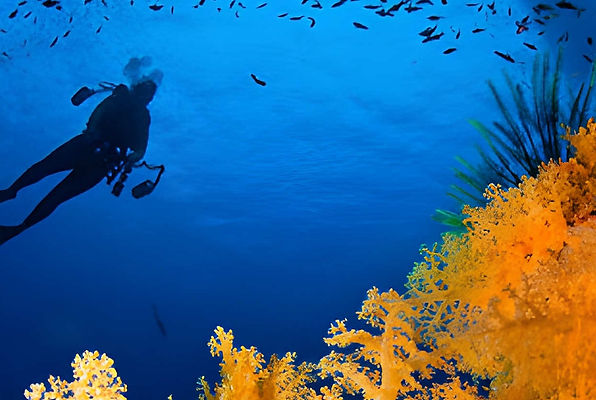 photo and video course in sharm