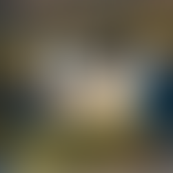 An Evening at the École Européenne de Bruxelles–Argenteuil