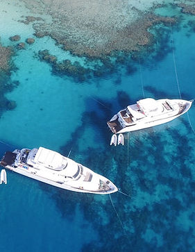 Migliori offerte Liveaboard a Sharm 2025