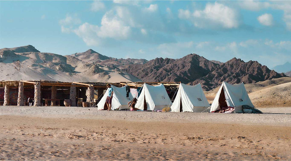 Camping and diving in ras mohamed national park 2023