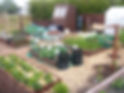 MolloysGardenWorld-OurAllotments-WhatABe