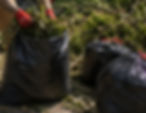 Yard Waste Removal: 6-10 Bags