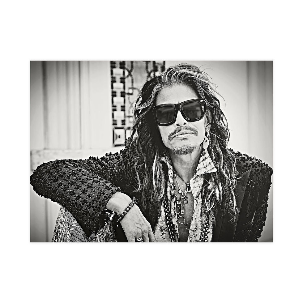 Miniatura: Steven Tyler
