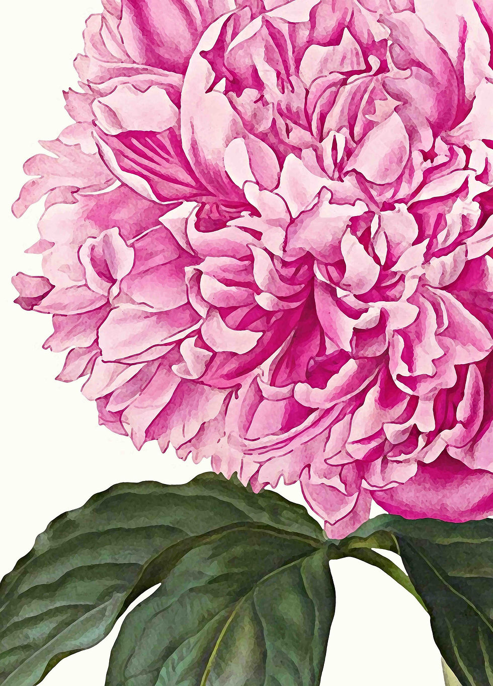 Miniaturbild: Peonies art floral print poster blush pink peony print peony floral print blush