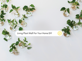Event Inspired Plant Wall For Your Home | Event Planner Style