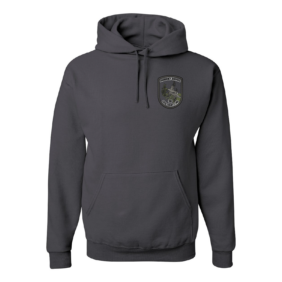 Thumbnail: Cecil DES Jerzees Embroidered Hoodie (E)