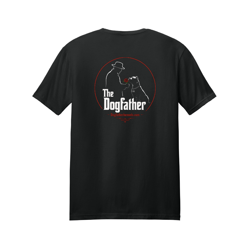 DFK Gildan Design #4 Softstyle® T-Shirt (DTF)