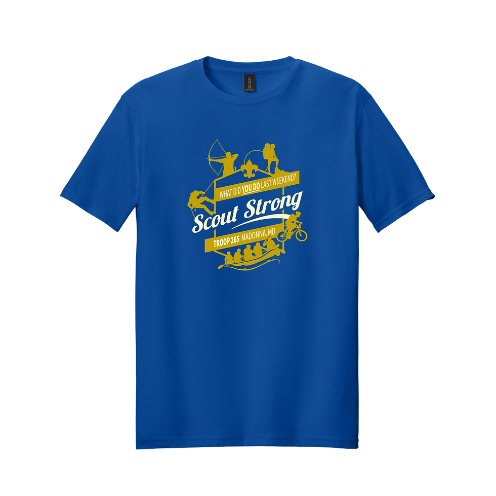 Thumbnail: T265 Gildan YOUTH Softstyle® T-Shirt (DTG)