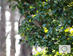 2645564C-B29E-4C2C-AB36-B3F5FA3BCC93