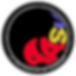 AASU Icon.png