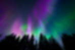 AdobeStock_99243205.jpeg