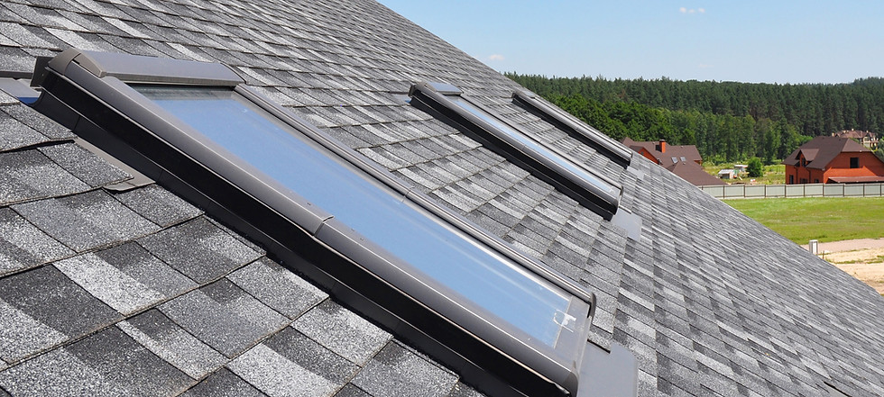 Roof With Skylights