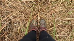 Quilombo São José da Serra - RJ