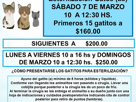 ACTIVIDADES DE AMIGOS DE LOS ANIMALES PARA MARZO 2020