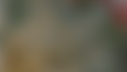 Festive Period Opening Hours 2025