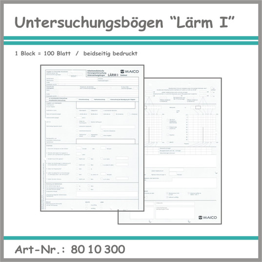 Untersuchungsbögen  Lärm I