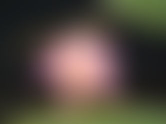 Critiquing Photo Challenge