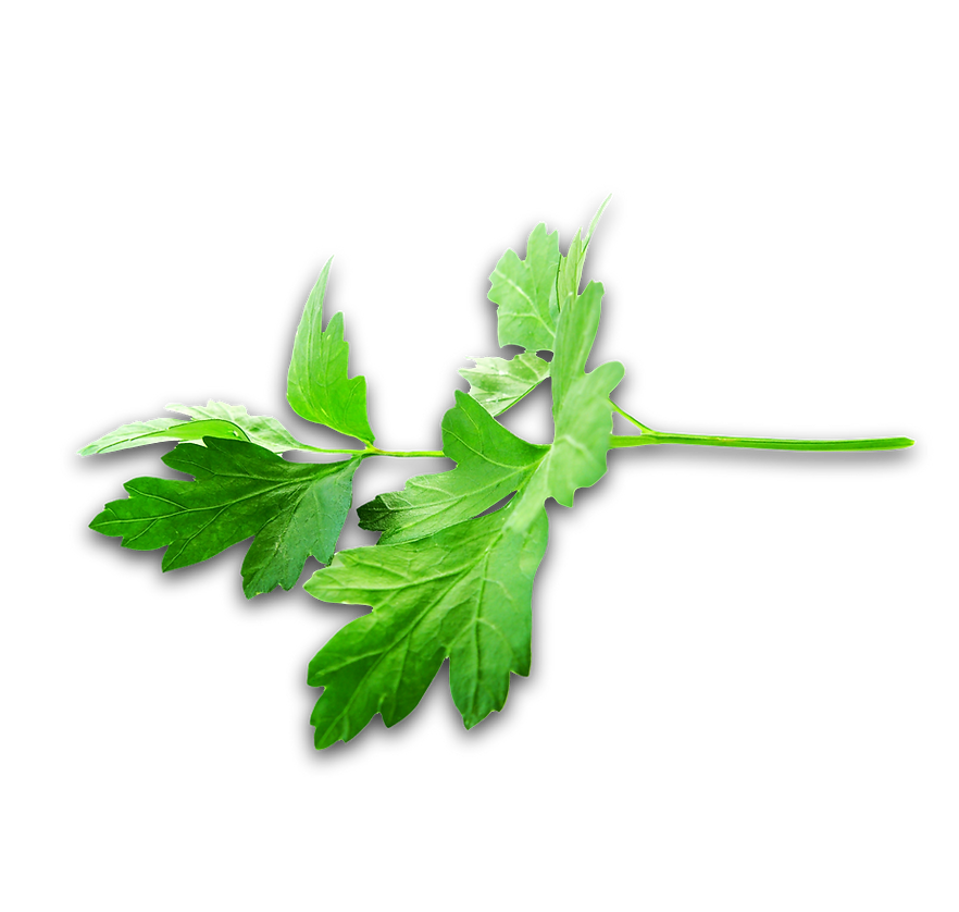 CELERY_edited.png